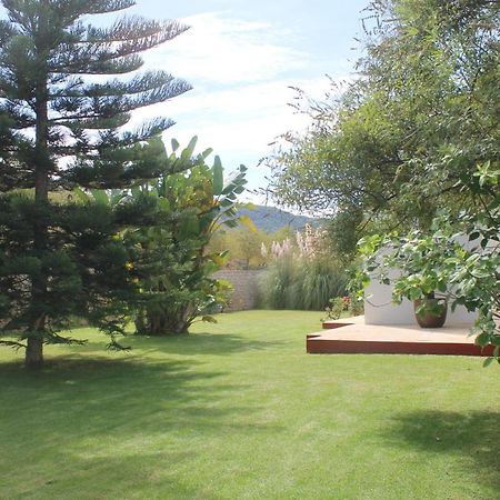 Villa Ca Na Vinya Кала Тарида Екстериор снимка